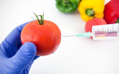 Gene-editing Technology To Remain Unregulated