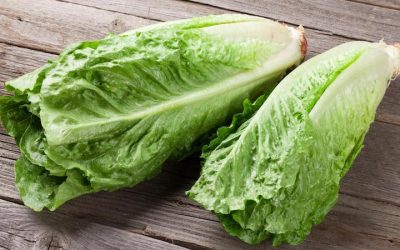 Romaine Lettuce E. coli Outbreak